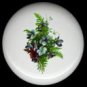 VICTORIAN Fern and Flower Bouquet Ceramic Knobs Pulls