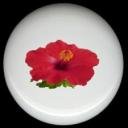 HIBISCUS Flower #3 Ceramic Knobs Pulls