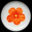 HIBISCUS Flower #6 Ceramic Knobs Pulls