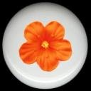 HIBISCUS Flower #6 Ceramic Knobs Pulls