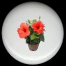 HIBISCUS Flower #7 Ceramic Knobs Pulls