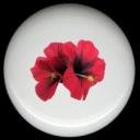 HIBISCUS Flower #9 Ceramic Knobs Pulls