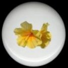 HIBISCUS Flower #10 Ceramic Knobs Pulls