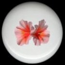 HIBISCUS Flower #11 Ceramic Knobs Pulls
