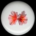 HIBISCUS Flower #11 Ceramic Knobs Pulls