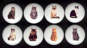 Ceramic Drawer Knobs Pulls ~ DOMESTIC CAT Cats SET Assortment Tuxedo Tabby