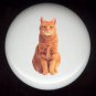 Domestic House CAT #5 ~ Ceramic Drawer Knobs ORG TABBY
