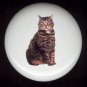 Domestic House CAT #1 ~ Ceramic Drawer Knobs