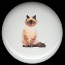 Domestic House CAT #7 ~ Ceramic Drawer Knobs SIAMESE