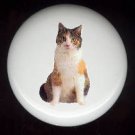 Domestic House CAT #3 ~ Ceramic Drawer Knobs CALICO