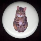 Domestic House CAT #2 ~ Ceramic Drawer Knobs TABBY
