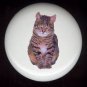Domestic House CAT #2 ~ Ceramic Drawer Knobs TABBY