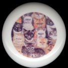 A CIRCLE of CATS ~ Ceramic Drawer Knobs Pulls