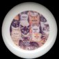 A CIRCLE of CATS ~ Ceramic Drawer Knobs Pulls