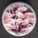 Circle of PINK FLAMINGOS Black Ground Ceramic KNOBS
