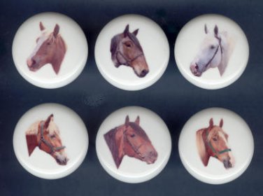 Set of 6 DRAFT HORSES Ceramic Knobs Pulls - Free Shipping