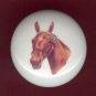 Vintage VICTORIAN HORSE Illustration #5 Ceramic Knobs Handles Pulls