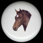 Equine BROWN HORSE with WHITE MARK ~ Ceramic Knob Knobs - Free Shipping