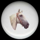 Equine WHITE HORSE ~ Ceramic Knob Knobs Pulls - Free Shipping