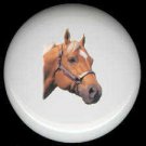 Equine LIGHT BROWN with WHITE HORSE ~ Ceramic Knob Knobs Pulls - Free Shipping