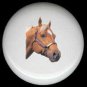 Equine LIGHT BROWN with WHITE HORSE ~ Ceramic Knob Knobs Pulls - Free Shipping