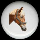 DRAFT HORSE #1 - Horses CERAMIC KNOBS Cabinet DRAWER Pulls