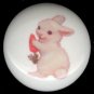 Vintage Image WHITE RABBIT with CARROT Ceramic Drawer Knobs