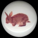 LITTLE BROWN BUNNY RABBIT Ceramic Drawer Knobs