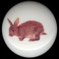 LITTLE BROWN BUNNY RABBIT Ceramic Drawer Knobs
