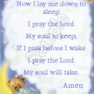 Bear on Moon - Prayer