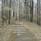 Wooded Path - Emerson