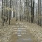 Wooded Path - Emerson