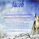 First Name Meaning - Howling Wolf