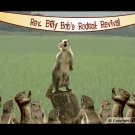 Prairie Dog Revival DVD