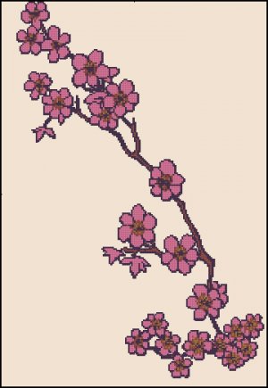 Pattern Of Cherry Blossom Royalty Free Cliparts, Vectors, And