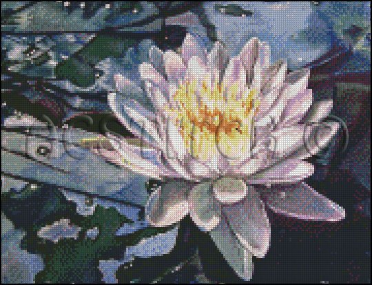 WATER LILY cross stitch pattern