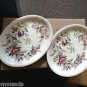 PAIR of Hampshire Windsor Ware by Johnson Brothers Platters