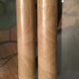 2 DOUBLE ROLLS Antonina Vella Unpasted Wallpaper - VB6792 (Botanica Artique)