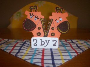 Protective Outlet Cover-2x2