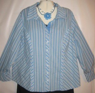 Women's Plus Size Long Sleeve Top, Lane Bryant, Sz 26/28, $12.99, Great Buy