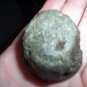 Extinct Whale Tailbone