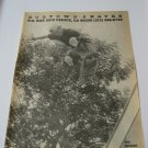 Original Dogtown SkateBoard Advertisement Rare Vintage Eric Dressen