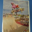 Original Tony Hawk SkateBoard Advertisement Rare Vintage Powell Peralta