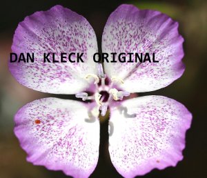 The Perfect Flower