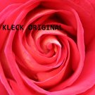 Eye of the Rose