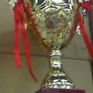 10.75" GOLD TONE Quality METAL TROPHY Reward CUP Sport