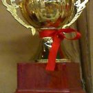 6.25" GOLD TONE METAL TROPHY Reward CUP Sport FREE SHIP