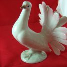 Porcelain Pidgeon German
