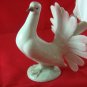 Porcelain Pidgeon German