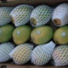 Kesar Mango